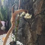 283758901_378848847596569_4712914217032070387_n