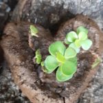 283913854_527465695712811_7018844604639391257_n