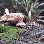 287630314_326792372985905_730780034874858541_n